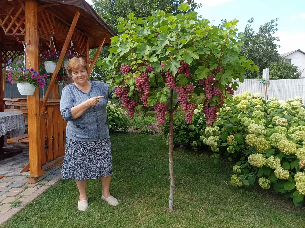 Валентина біля рожевого деревця поруч з альтанкою